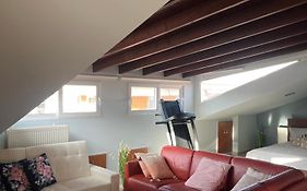 Attic Family Apartment
